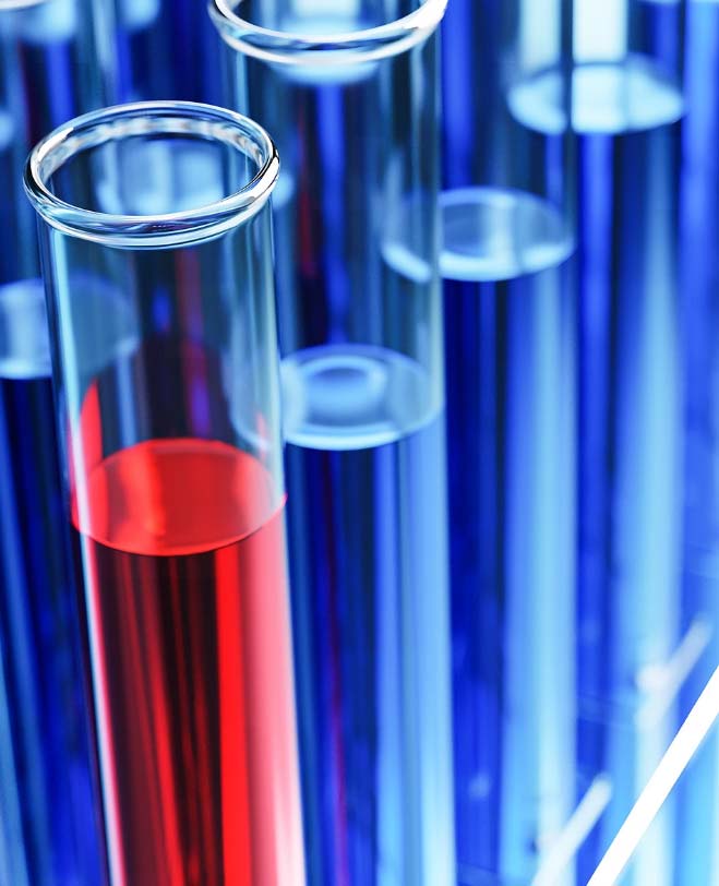 Science Valley English Science Valley